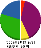 道野 貸借対照表 2009年3月期