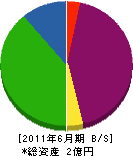 斎藤工務店 貸借対照表 2011年6月期