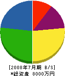 辻工務店 貸借対照表 2008年7月期