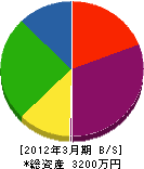龍栄電設 貸借対照表 2012年3月期