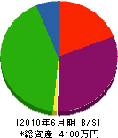 川島水道商会 貸借対照表 2010年6月期