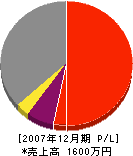 生川塗装店 損益計算書 2007年12月期