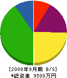 松崎産業 貸借対照表 2008年9月期