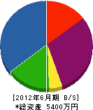 藤喜緑化 貸借対照表 2012年6月期
