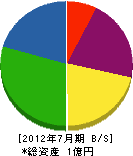 太田工業 貸借対照表 2012年7月期