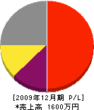 武井電気工業 損益計算書 2009年12月期
