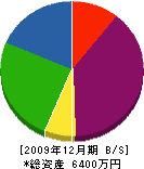 平山塗装工作所 貸借対照表 2009年12月期