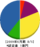 東栄産業 貸借対照表 2009年6月期