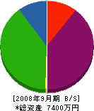 寺島建設 貸借対照表 2008年9月期