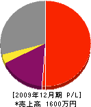 福島電工 損益計算書 2009年12月期