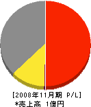 共和電器 損益計算書 2008年11月期