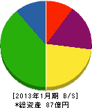 多摩川電気 貸借対照表 2013年1月期