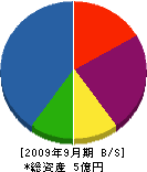 安田 貸借対照表 2009年9月期