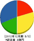斎藤工務店 貸借対照表 2012年12月期