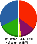 澤井商事 貸借対照表 2012年12月期