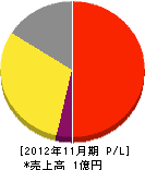 阪南メンテナンス 損益計算書 2012年11月期