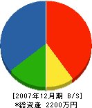 田中電気工事 貸借対照表 2007年12月期