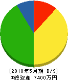 古川電機商会 貸借対照表 2010年5月期