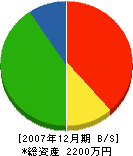 辻襖製作所 貸借対照表 2007年12月期