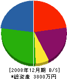 東岐電気商会 貸借対照表 2008年12月期