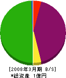 新日本緑化建設 貸借対照表 2008年3月期