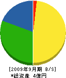吉見電設 貸借対照表 2009年9月期