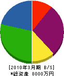 丸正佐藤建設 貸借対照表 2010年3月期