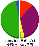 山本塗装店 貸借対照表 2007年12月期