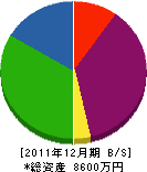 松原電機商会 貸借対照表 2011年12月期