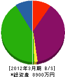 智咲総業 貸借対照表 2012年3月期