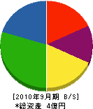 武井建設 貸借対照表 2010年9月期
