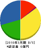 新川インフォメーションセンター 貸借対照表 2010年3月期