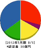 渡辺土建 貸借対照表 2012年5月期