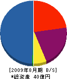 川村新鉄 貸借対照表 2009年8月期