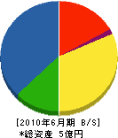 村田建設 貸借対照表 2010年6月期