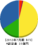 上野清掃社 貸借対照表 2012年7月期