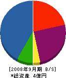 笹岡工業 貸借対照表 2008年9月期