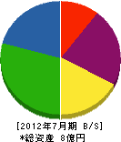 沼田機業 貸借対照表 2012年7月期