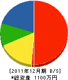 瀬川塗装 貸借対照表 2011年12月期