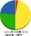 中沢組 貸借対照表 2012年10月期