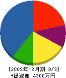 藤根タタミ店 貸借対照表 2009年12月期