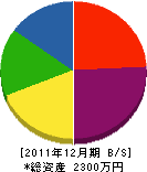斉藤工業 貸借対照表 2011年12月期