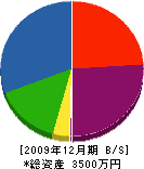 岩橋電機商会 貸借対照表 2009年12月期