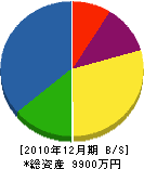 三昭技研 貸借対照表 2010年12月期