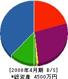 中島建設 貸借対照表 2008年4月期