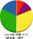 岩崎興業 貸借対照表 2010年3月期