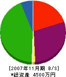 遠藤工業 貸借対照表 2007年11月期