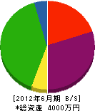 川島水道商会 貸借対照表 2012年6月期