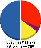 武藤商会 貸借対照表 2010年12月期