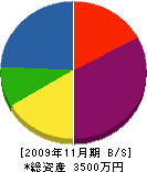斉藤電気 貸借対照表 2009年11月期